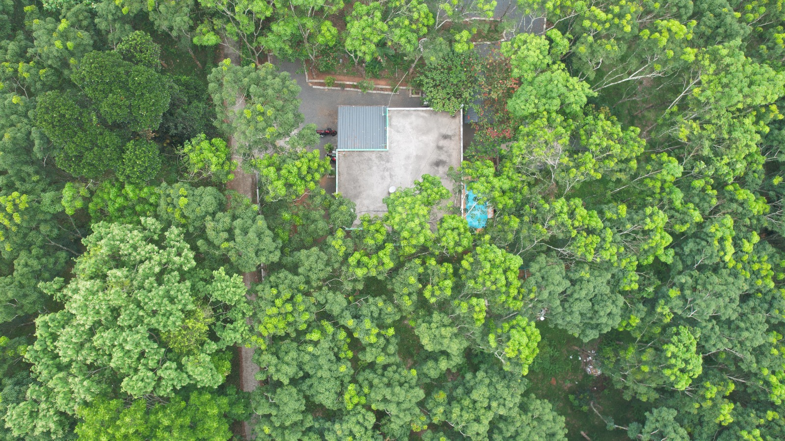 Green Forest Farm Stay, Nadavayal, Wayanad